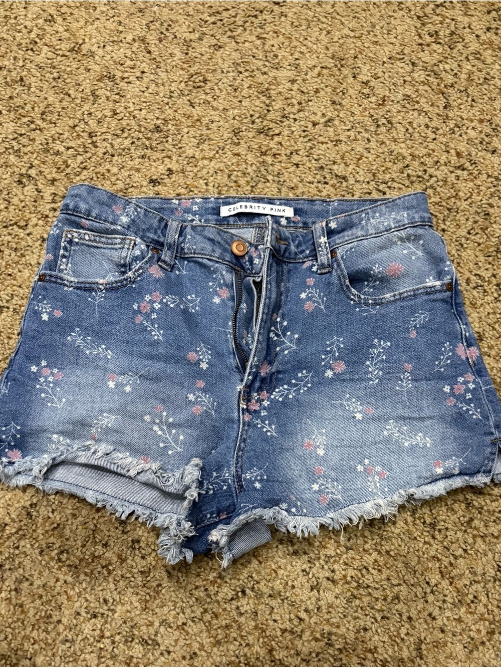 Celebrity Pink Blue Floral Denim Cutoff Shorts